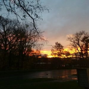 Meet your Posher, Doreen